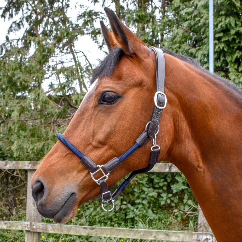 HC065 Raywell Soft Rope Headcollar 